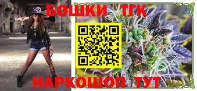 гидропоника Можга