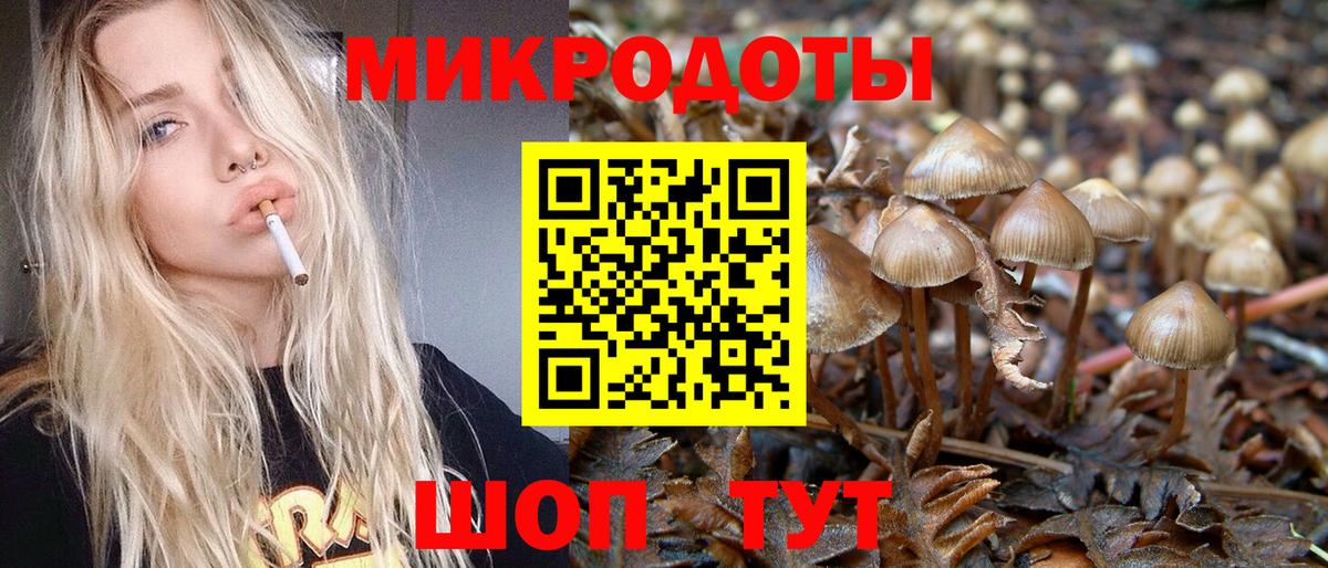Галлюциногенные грибы MAGIC MUSHROOMS Владикавказ