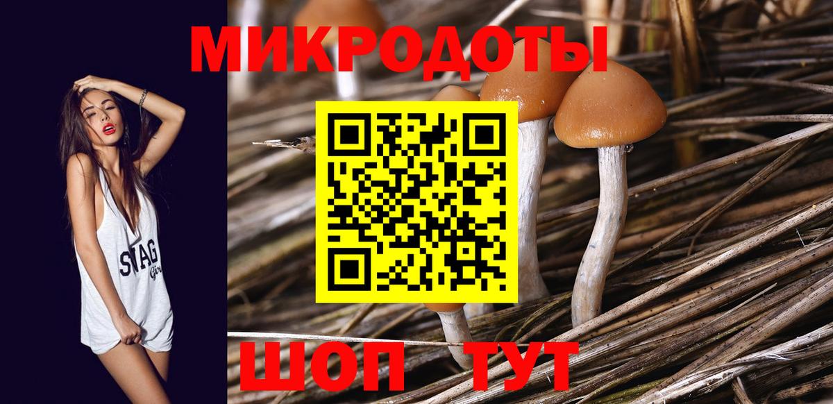 Владикавказ  Галлюциногенные грибы Psilocybe  Псилоцибиновые грибы GOLDEN TEACHER  Вход с VPN 